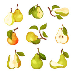 Pomaceous Pear Fruit with Upper End of Flower Stalk and Green Fibrous Leaf Vector Set