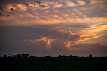 sunset over the field