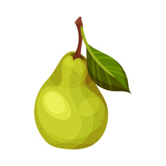 Whole Pomaceous Pear Fruit with Upper Flower Stalk and Green Fibrous Leaf Vector Illustration