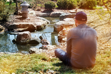 Fototapeta na wymiar man is sitting near the pond with duck in the botanic park