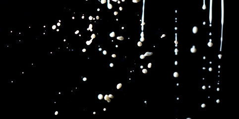 Splashes of white milk isolated on a black background.