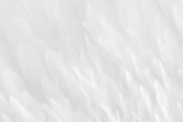 Obraz premium White textured background design resource