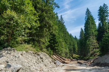 Stunning Landscape from C&acirc;mpulung Moldovenesc, Suceava, Romania