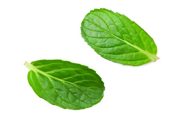 Fresh mint leaves isolated on white background. top view