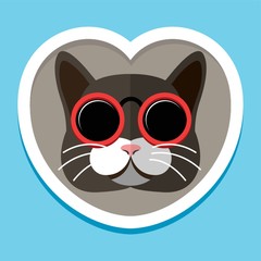 Fototapeta premium Cat wearing shades