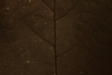 Dark brown leaf pattern textured backdrop