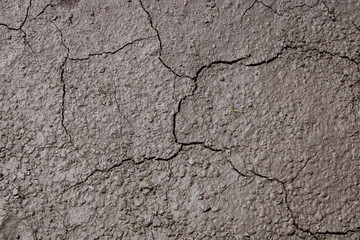 Dried cracked Earthen soil background texture of the soil. A mosaic pattern of earth's dried soil.
