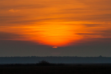 sunset in the sky