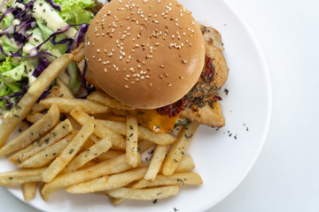 Food photography with white background, Top angle, closeup. variety of food, Asian, western. Burger, salmon, fried rice, bacon, lamb, beef