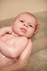Newborn baby girl being held in the bath