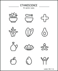 Vector images of traditional medicine. Herbal Treatment