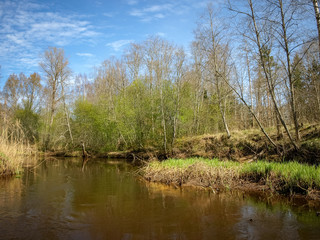landscape with a small wild river bank, the first spring greenery, last year's reeds, tree reflections in the water