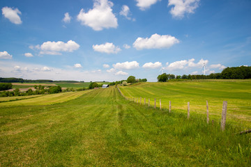 rural landscape with green field, barns and blue sky