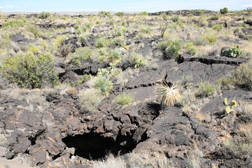 Naklejka premium Scenic Valley of Fire Recreation Area in New Mexico, USA