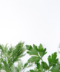fresh parsley leaves