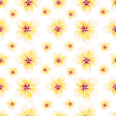 Exotic white Plumeria pattern on white background. Seamless summer tropical fabric design. Hand drawn illustration