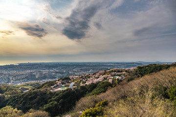 Fototapeta na wymiar 須磨山と桜の夕景