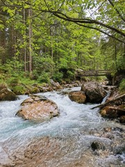 Ramsauer Arche im Zauberwald