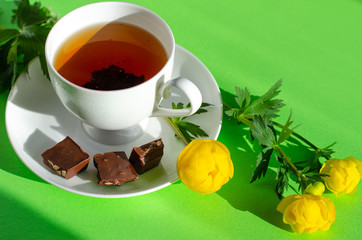 A Cup of black tea, pieces of chocolate and yellow flowers of the Trollius europaeus on a green background. Sunny, bright, shadows fall from the window. Chocolate day and morning tea ceremony.
