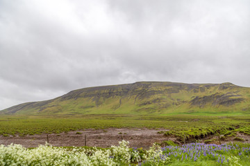 Fototapeta premium landscape with mountains and clouds