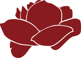 vector illustration of a red rose