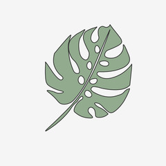Leaf Tropical Plant - Monstera. illustration
