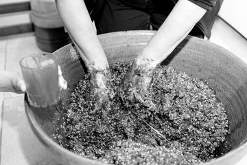 Manos de mujer mezclan la sangre de cerdo con el resto de los ingredientes de una morcilla de arroz...
