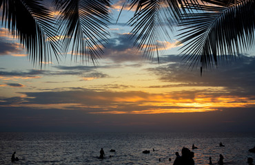 Summer tropical beach sunset with palm tree leaves silhouette for vacation,weekend on summer season holiday
