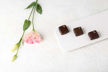 Handmade chocolates on a white plate. Decorative stone background decorated with flower.