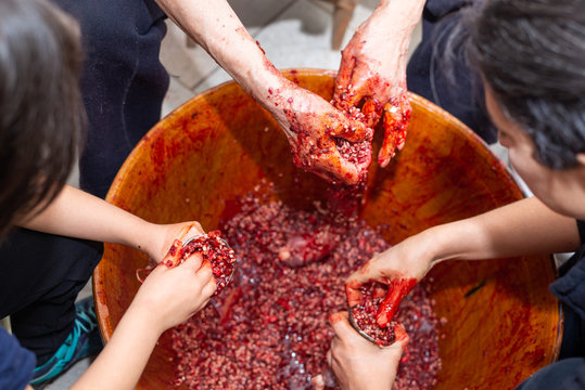 Manos de mujer rellenando tripas de ternera durante la elaboraci&oacute;n casera de morcillas de arroz de Burgos seg&uacute;n el m&eacute;todo tradicional. Tomada el 20 de febrero de 2020 en Burgos, Castilla y Le&oacute;n.
