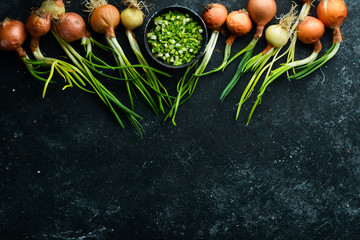 Fresh ripe green spring onions with fresh chopped green onions on black stone background. Top view.