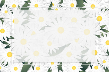 Spring and summer floral banner template of white daisy flowers and leaves with white frame and your copy space. Vector illustration.