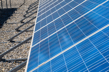 Obraz premium close up view of a row of modern solar panels on a flat rooftop