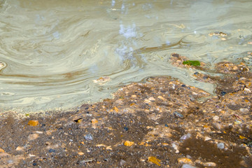 Dirty puddle on a broken road with yellow stains from pollen of plants. Pattern from pollen allergenic on a sunny day. Sand and stones.