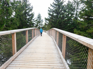 Female person walking on wooden boards in a forest, hiking and walking outdoor recreation.