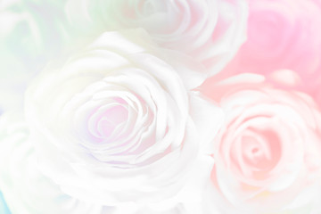 Pink rose patterned background