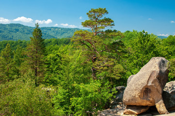 Rocks Dovbush Lviv region