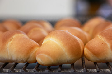 焼き立ての美味しいバターロールパン