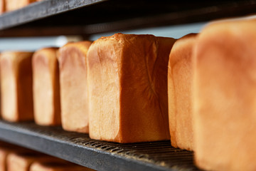 焼き立ての美味しい食パン