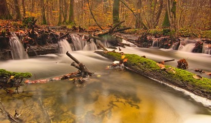 Jesienny potok zamrożona woda strumień