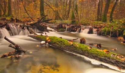 Jesienny potok zamrożona woda strumień - obrazy, fototapety, plakaty