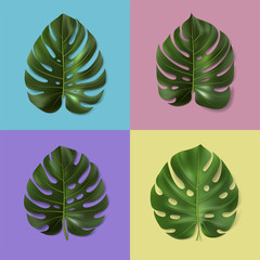 Set of different green monstera leaves isolated on colorful background. 3d vector illustration. Realistic tropical leaf. Botanical template for interior, home decor, banner, ad, wallpaper, card.