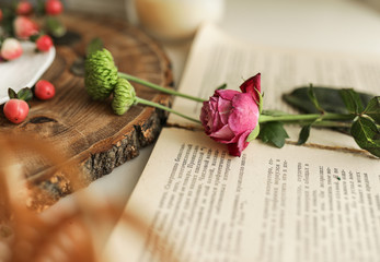 rose on the pages of an old book