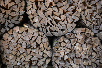 Stapel von geschlagenem Holz, im Wald zum trocknen gebündelt. Feuerholz, Beispiel für Forstwirtschaft, alternative Energie