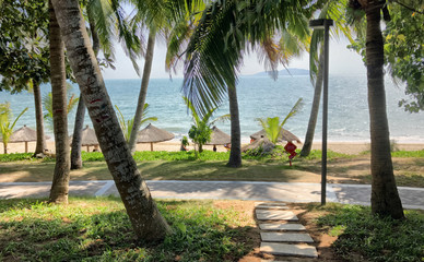 Tropical palm trees and natural fibre beach umbrellas in Sanya, Hainan Island, China, Asia