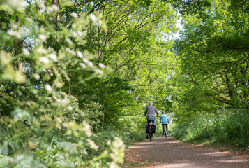 Obraz premium women on bicycle on narrow bike path through spring trees in the centre of holland