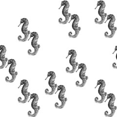 Obraz premium Aquarelle painting of seahorse sketch art pattern illustration