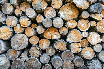 Different size ends of the oak firewood