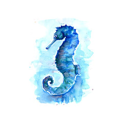 Aquarelle painting of seahorse sketch art pattern illustration
