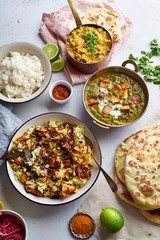 Indian cuisine dinner: tandoori chicken, biryani